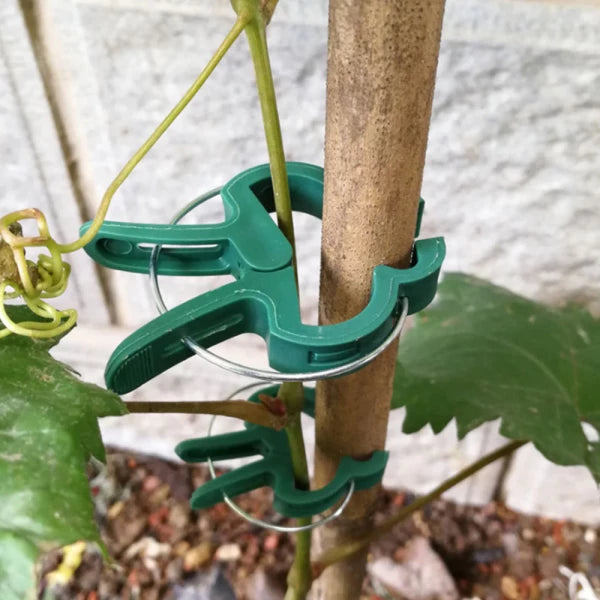 20 Pcs Plastic Plant Support Clips